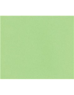 Χαρτί φωτοαντ. πράσινο, Α4, 80γρ, 500φ.