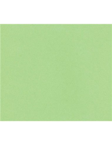 Χαρτί φωτοαντ. πράσινο, Α4, 80γρ, 500φ.