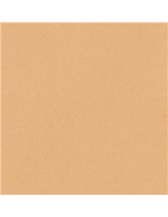 Χαρτί φωτοαντιγραφικό μπεζ-καφέ Α4 500 φύλλα 80γρ,