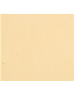 Χαρτί φωτοαντιγραφικο σομόν Α4 500 φύλλα