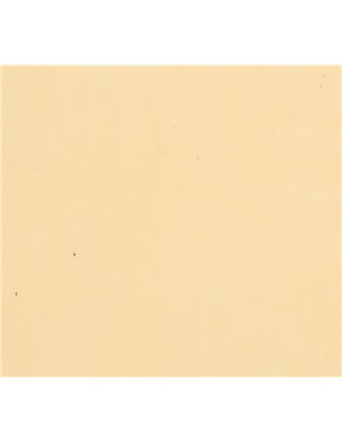 Χαρτί φωτοαντιγραφικο σομόν Α4 500 φύλλα