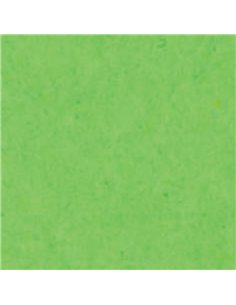 Χαρτόνι φωτοαντ. λαχανί Α4,160γρ,250φ.