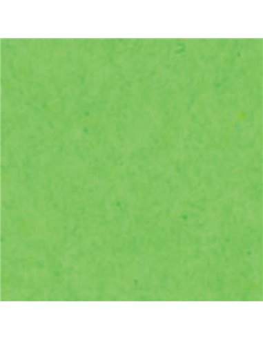 Χαρτόνι φωτοαντ. λαχανί Α4,160γρ,250φ.