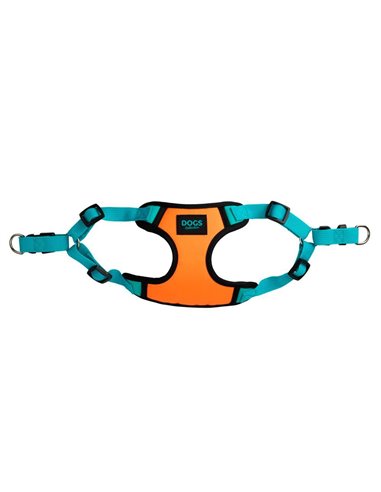 Σαμαράκι σκύλου πετρόλ small 36-42εκ.