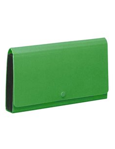 Comix αρχειοθήκη επιταγών PP πράσινη Υ26,2x14.5x3εκ.