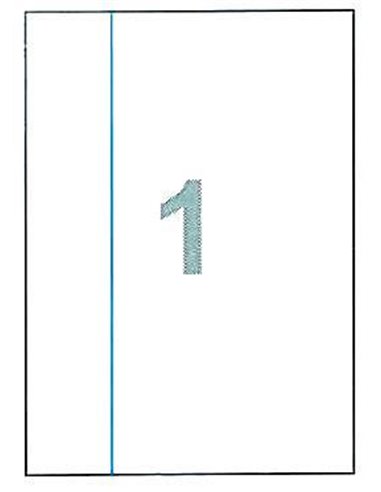 Fleks ετικέτ. αυτοκόλ. λευκές 210x297mm 1/φ 100φ Α4