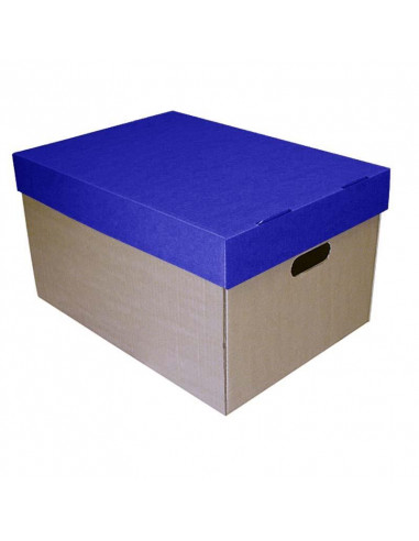 Νext κουτί μπλε καπάκι Υ30x53x38εκ.