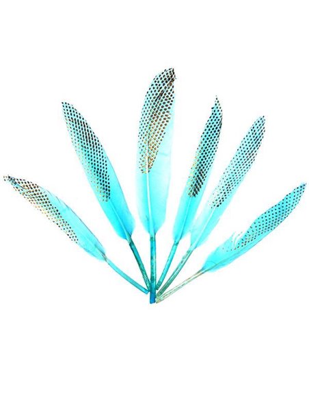 Φτερά χήνας με γαλάζιους χρωματισμούς, 15-17 εκ., 6τεμ. σε blister