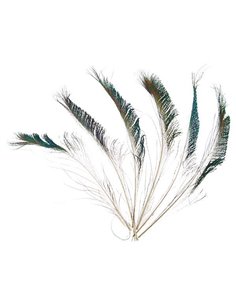 Φτερά παγωνιού μήκος 30-35 εκ. συσκ. 6 τεμ. σε blister