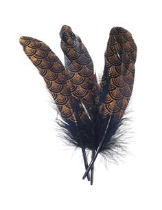 Φτερό μαύρο-χρυσό 16εκ.