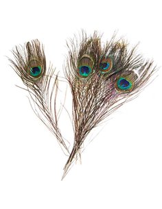 Φτερά παγωνιού μήκος 25-30 εκ. συσκ. 6 τεμ. σε blister