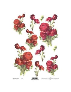 Ριζόχαρτο "red ranunculus" 21x29εκ.   (ITD-R420)