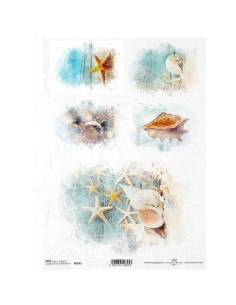 Ριζόχαρτο "ocean shells" 21x29.7εκ.   (ITD-R1611)