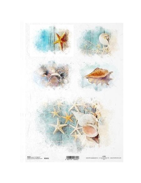 Ριζόχαρτο "ocean shells" 21x29.7εκ.   (ITD-R1611)