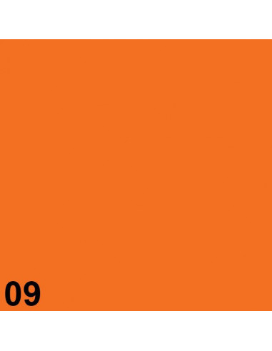Next κουτί "Πορτοκαλί" Α3 Υ20.5x50.5x29.6εκ.