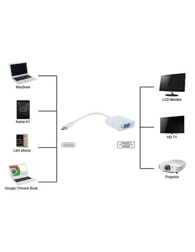 POWERTECH αντάπτορας USB Type-C σε VGA PTH-034, Full HD, λευκό