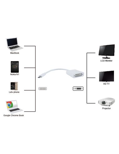 POWERTECH αντάπτορας USB Type-C σε DVI PTH-036, 4K, λευκό