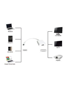 POWERTECH αντάπτορας USB Type-C σε HDMI PTH-037, 4K, λευκό