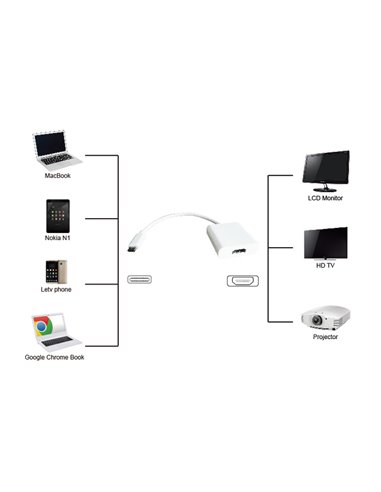POWERTECH αντάπτορας USB Type-C σε HDMI PTH-037, 4K, λευκό