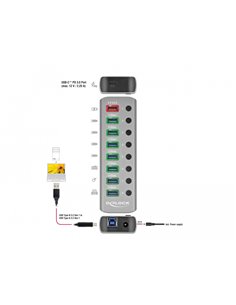 DELOCK USB hub 63264 με διακόπτες, 9x θυρών, 5Gbps, 12V/2.25A PD, γκρι