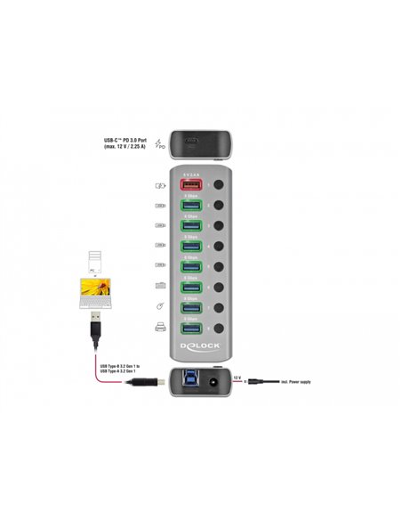 DELOCK USB hub 63264 με διακόπτες, 9x θυρών, 5Gbps, 12V/2.25A PD, γκρι