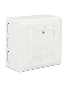 DELOCK οπίσθιο κουτί για Keystone πρίζα τοίχου 86128, λευκό