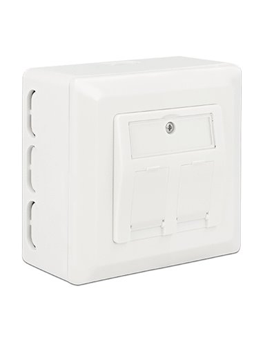 DELOCK οπίσθιο κουτί για Keystone πρίζα τοίχου 86128, λευκό