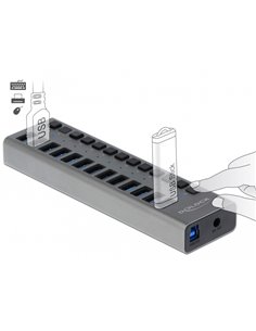 DELOCK USB hub 63738 με διακόπτες, 13x θυρών, 5Gbps, γκρι