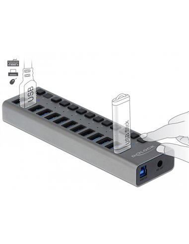 DELOCK USB hub 63738 με διακόπτες, 13x θυρών, 5Gbps, γκρι