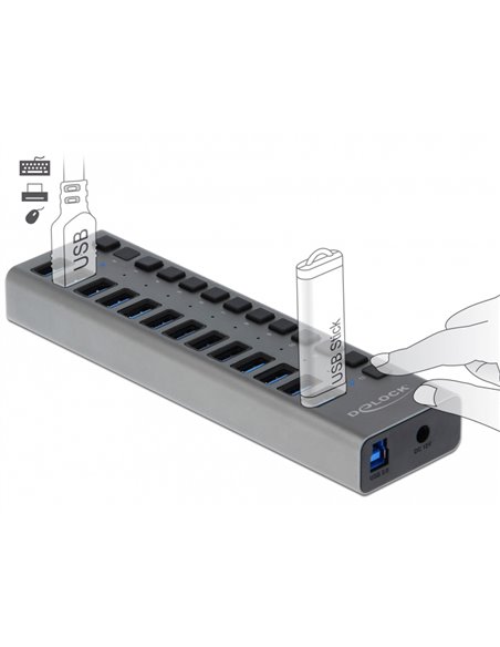 DELOCK USB hub 63738 με διακόπτες, 13x θυρών, 5Gbps, γκρι