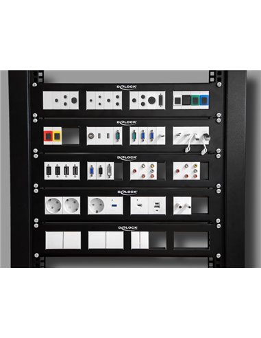 DELOCK module USB θύρα φόρτισης Easy 45 81311, 18W, 45x45mm, λευκό