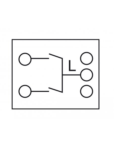 DELOCK module διακόπτης Easy 45 81363, διπλός, 1-pole, 1-way, λευκός