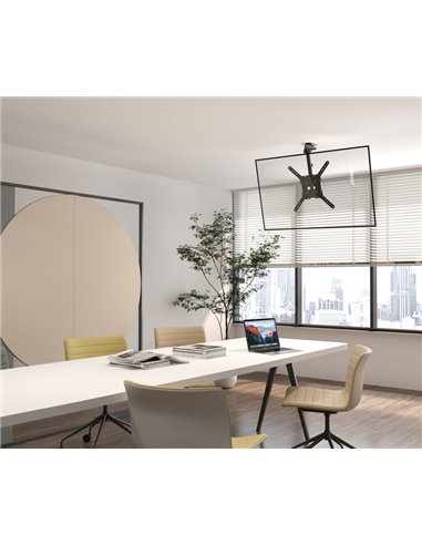 BRATECK βάση τηλεόρασης οροφής LCD-CM344, 23-55", έως 20kg