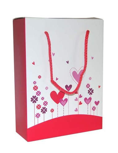 Next χάρτινη τσάντα κουτί Λουλούδια Καρδιές Υ22x16.5x6.5εκ.