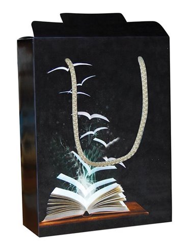 Next χάρτινη τσάντα κουτί Μαύρο βιβλίο Υ22x16,5x6,5εκ. Δυνατότητα εκτύπωσης