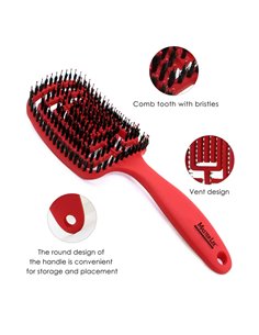 MASTER LEE βούρτσα μαλλιών RXN-0020, 8x24.5cm, κόκκινη