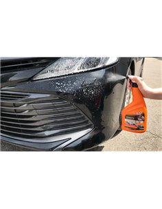 MOJE AUTO καθαριστικό αυτοκινήτων 19-054 για κατάλοιπα εντόμων, 750ml