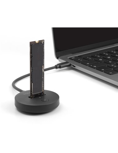 DELOCK docking station για M.2 NVMe/SATA SSD 64254, 10Gbps, μαύρο