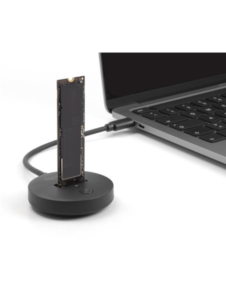 DELOCK docking station για M.2 NVMe/SATA SSD 64254, 10Gbps, μαύρο