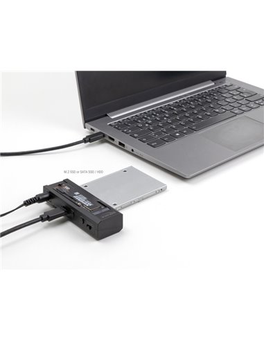 DELOCK docking station για M.2 NVMe/SATA ή 2.5"/3.5" SSD/HDD 64253, 10Gbps, μαύρο