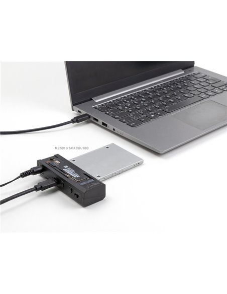 DELOCK docking station για M.2 NVMe/SATA ή 2.5"/3.5" SSD/HDD 64253, 10Gbps, μαύρο