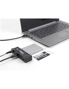 DELOCK docking station για M.2 NVMe/SATA ή 2.5"/3.5" SSD/HDD 64252, 10Gbps, clone function, μαύρο