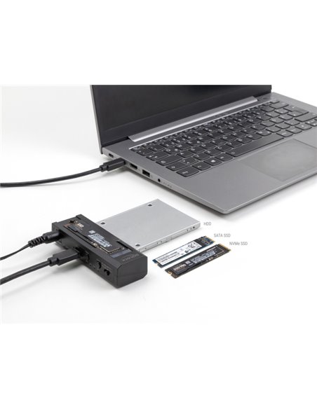 DELOCK docking station για M.2 NVMe/SATA ή 2.5"/3.5" SSD/HDD 64252, 10Gbps, clone function, μαύρο