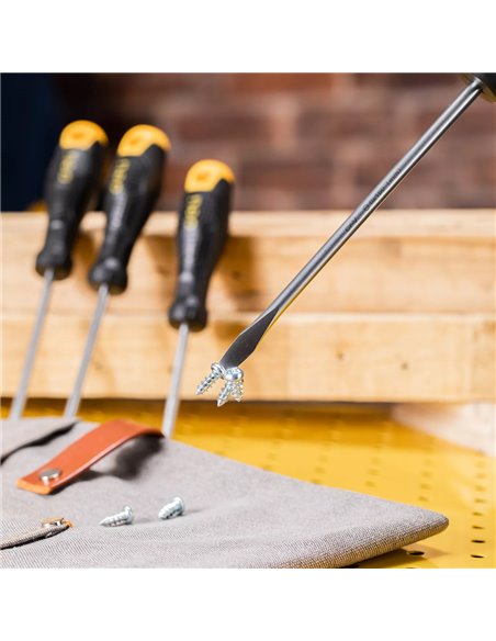 DELI σετ κατσαβίδια DL620006, 3x ίσια & 3x σταυρωτά, μαγνητικά, 6τμχ