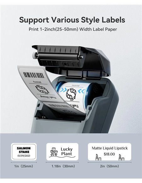 NIIMBOT smart θερμικός εκτυπωτής ετικετών B1, 203dpi, Bluetooth, μπλε