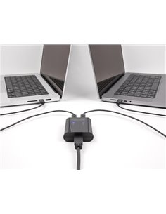 DELOCK USB Type B switch 11503, 2 σε 1, μαύρο