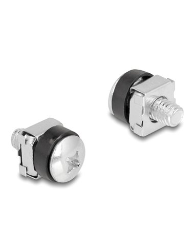 DELOCK σετ βίδες με παξιμάδια 42432 για rack, M6/16mm, ασημί, 100τμχ