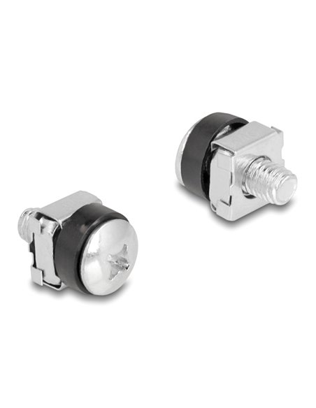 DELOCK σετ βίδες με παξιμάδια 42432 για rack, M6/16mm, ασημί, 100τμχ