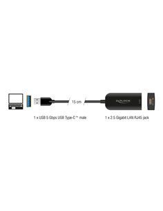 DELOCK αντάπτορας δικτύου 66045, USB, 2.5Gbps Ethernet, μαύρος
