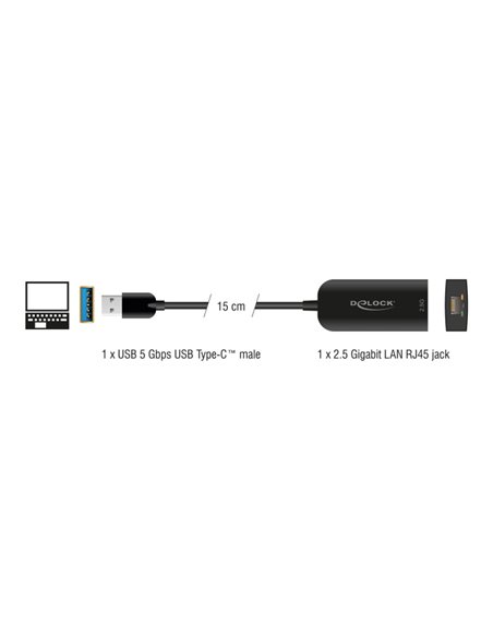 DELOCK αντάπτορας δικτύου 66045, USB, 2.5Gbps Ethernet, μαύρος